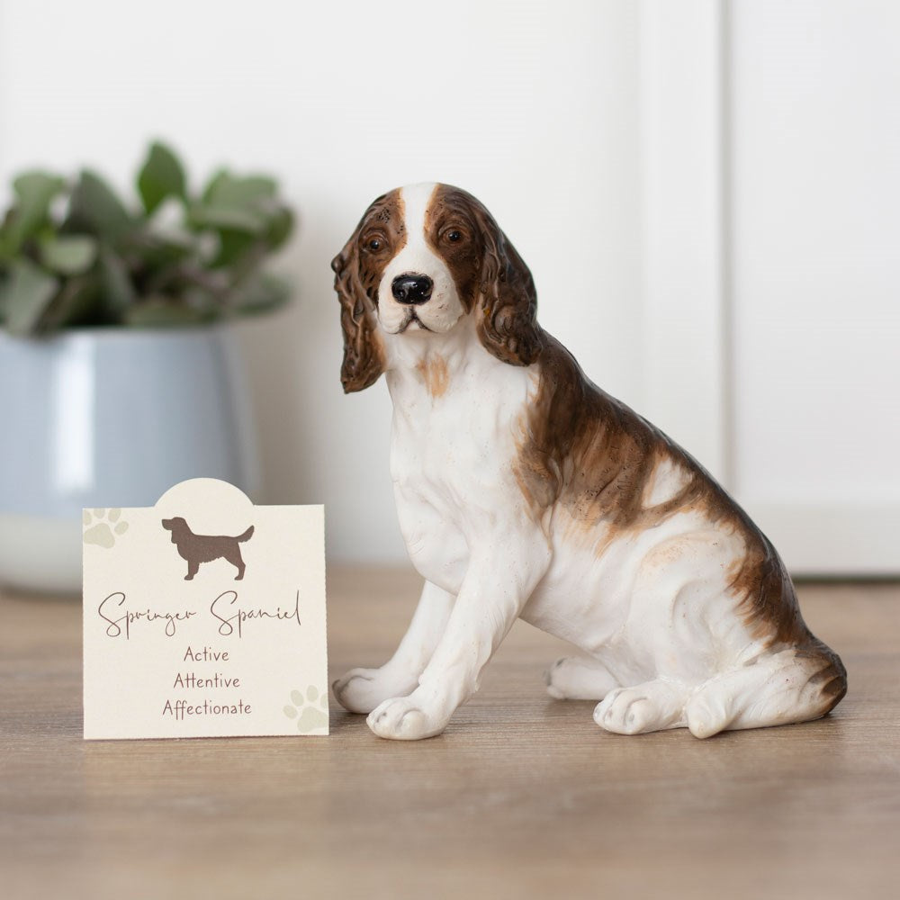 Springer Spaniel ornament with collectible card showcasing their active, attentive, and affectionate nature. A delightful gift for enthusiasts and pet owners, capturing the charm of this amazing breed