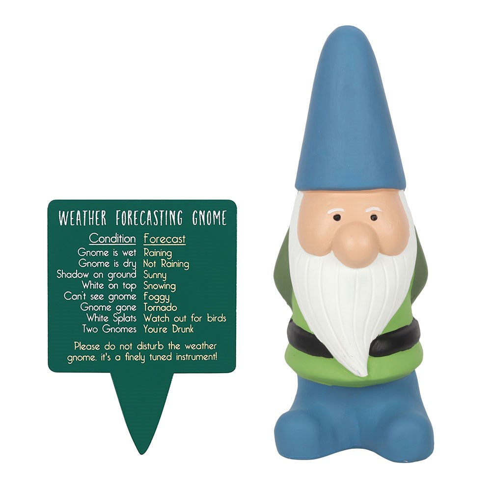 A large garden gnome gift with a blue hat and long beard next to a sign hilariously detailing the weather forecast.