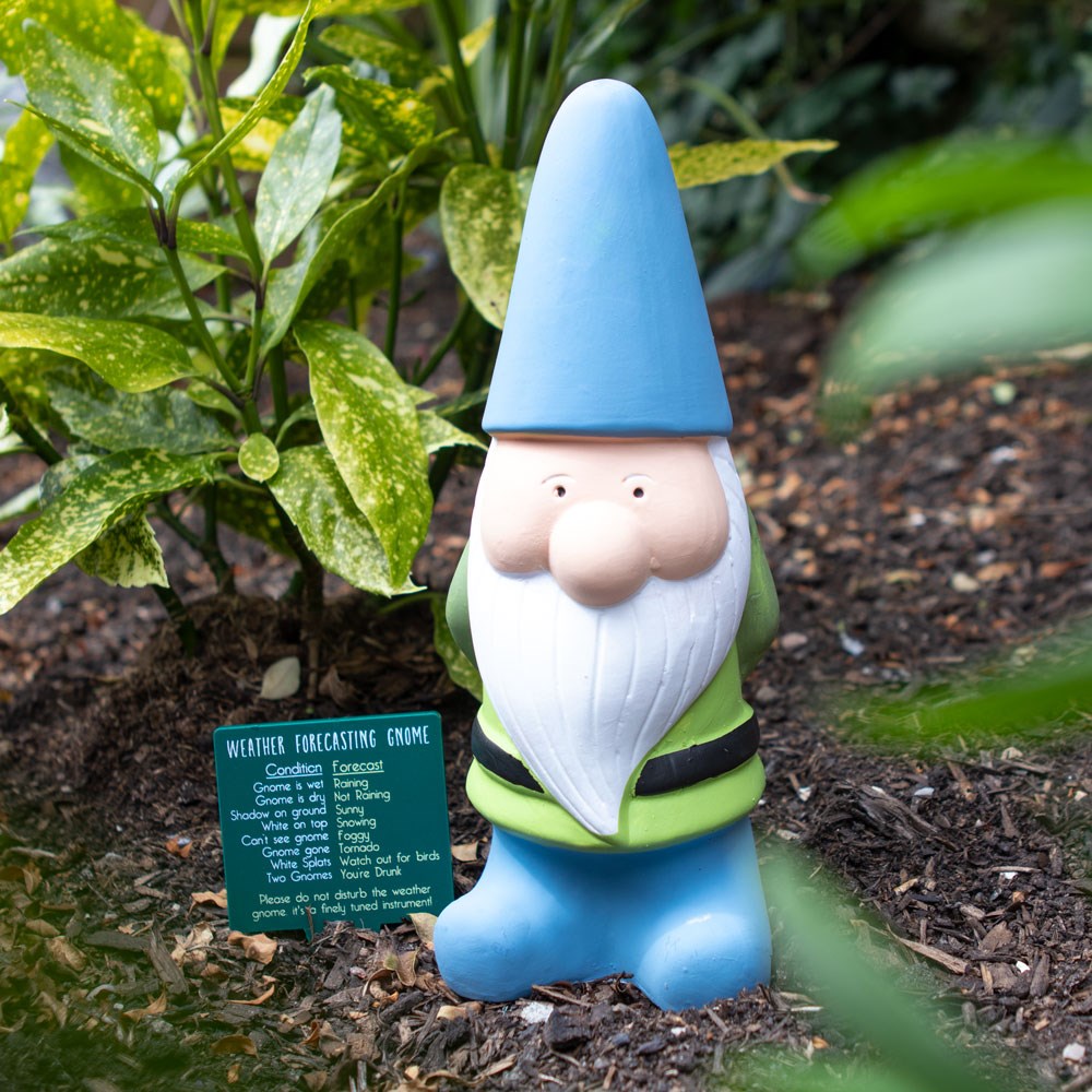 A fun garden gnome gift with a long beard and a weather forecast board letting you know the gnome will be wet when it rains.